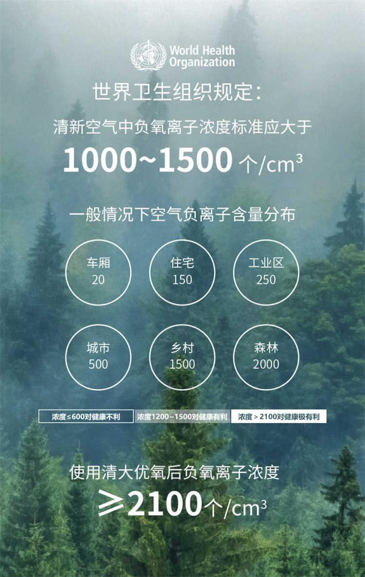 详情1 (10）.jpg